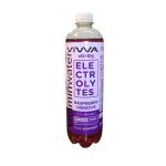 VIWA ELECTROLYTES X 600 ML