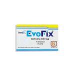 Imagen de EVOFIX 400 MG * 10 CAPSULAS
