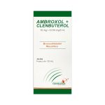 Imagen de AMBROXOL+CLENBUTEROL 15MG+0.010MG/5ML X 120ML FARMAVANZA