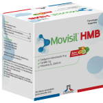 Imagen de MOVISIL HMB X 30 SOBRES SOLUCION ORAL