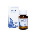 Imagen de AMX II 875/125 MG X 14 CAPSULAS