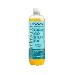 Imagen de VIWA AGUA VITAMINADA GINKGO BILOBA X 600 ML