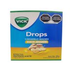 Imagen de PASTILLAS VICK JENGIBRE SOBRE X 20 UN